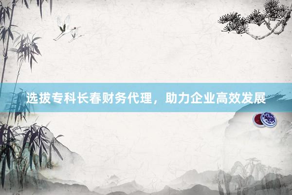 选拔专科长春财务代理，助力企业高效发展